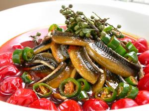 黃鱔多少錢一斤?黃鱔的價格