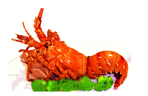 ���r����Щ��Ч�����ã����r�ĠI�B(y��ng)�r(ji��)ֵ