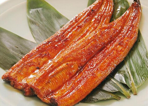 鰻魚(yú)多少錢(qián)一斤?鰻魚(yú)如何挑選