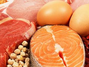 多吃動物蛋白能延緩衰老