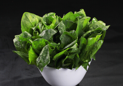 ÿ����c���}�������w��-ÿ��Ҫ�Ե�ʳ��