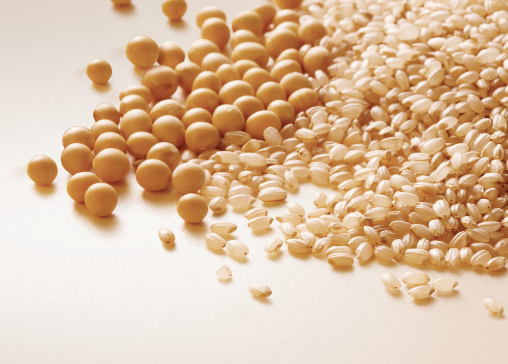 ����s�Z�B��������K-�s�Z�B����