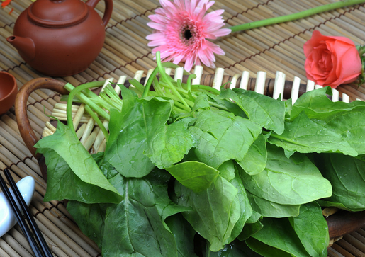 ����+��(ji��n)�����Ա��o(h��)ҕ��-ʳ�����_����I�B(y��ng)����