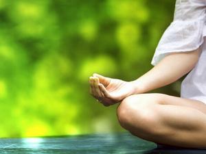 木耳菜是什么?木耳菜的吃法