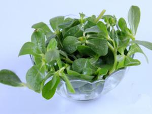 涼拌菜怎么吃才健康？吃涼拌菜最好放抗菌菜