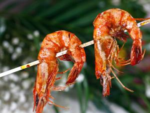 燒烤選擇脂肪少的肉-健康燒烤的方法