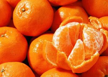 �r��Ƥ������ˮ��