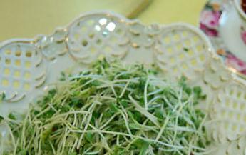 ʳ���B�����裺10�NΣ�Uʳ�����ض�ѿ