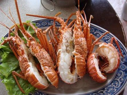 �Ժ��r���ܳ�ʲô���Ժ��r�r�ܺȾƺȲ�᣿�Ժ��r�Ľ���