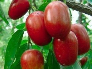 �t���Զ��˕�(hu��)��ô�����t���Զ��˺Æ�