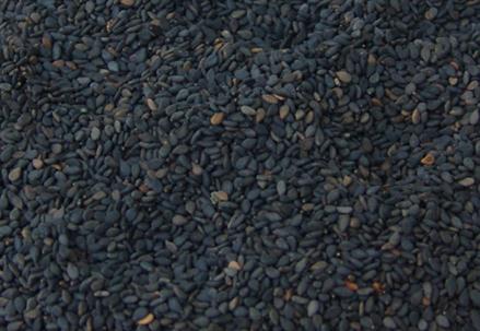 ��֥����ô����ã��Ժ�֥��ĺ�̎