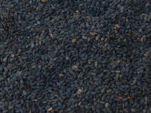 ��֥����ô��������Ժ�֥��ĺ�̎