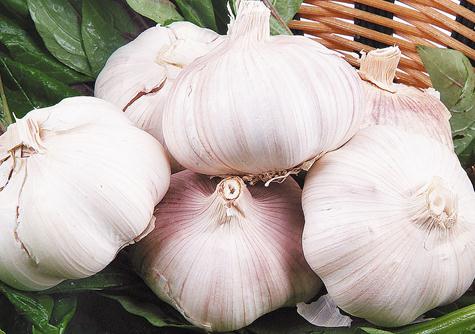 男性食療養(yǎng)生:常吃12種食物讓男人永遠(yuǎn)精力旺盛——大蒜