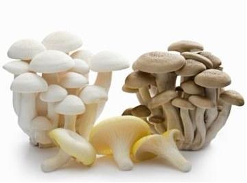 ��ʲôʳ������Ŷ����P(p��n)�c(di��n)ʳ���е��嶾���������(l��i)ʳ��