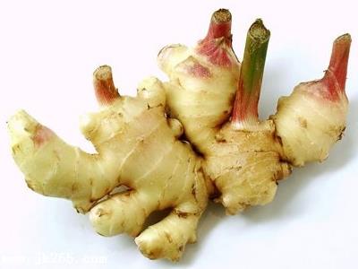 生姜發芽了還可以吃嗎?發芽的生姜能吃嗎