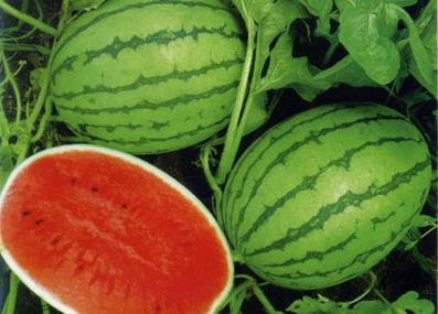 �����ϕ��ϻ��᣿�����ϕ��l(f��)�ֆ�