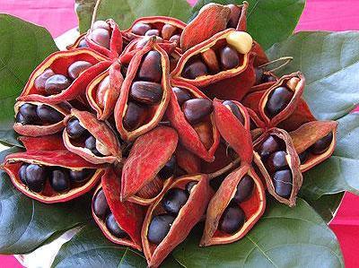 �O����ô�ԣ����O�ŵ�ע�����