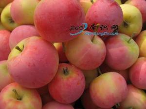 沙果怎么吃？吃沙果的食用禁忌