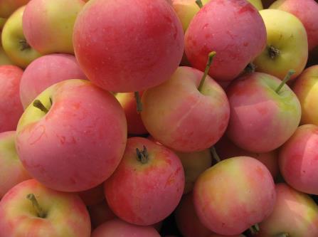 沙果怎么吃?吃沙果的食用禁忌