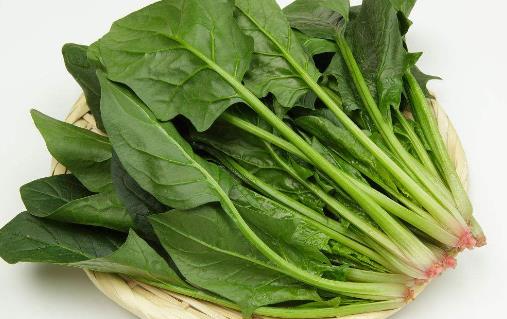 盤點四種冬季養生蔬菜 冬季養生水果有哪些