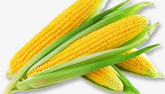 五谷雜糧有哪些?吃五谷雜糧有哪些好處?