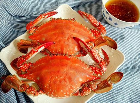 梭子蟹怎么看肥不肥?帶籽的的梭子蟹肥不肥?