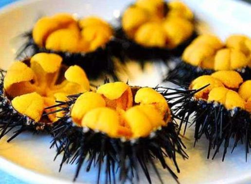 海膽生吃有寄生蟲嗎?海膽怎么吃才安全