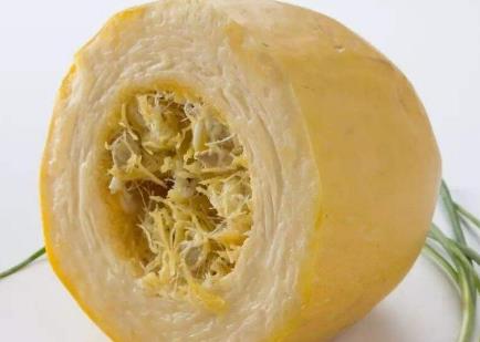 魚翅瓜是什么?魚翅瓜的功效與作用有哪些