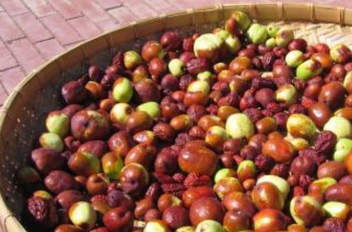 哪些人不宜吃紅棗?吃紅棗有哪些好處?