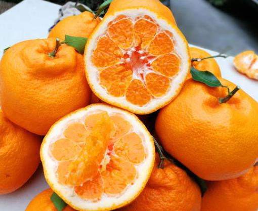 粑粑柑一天可以吃幾個(gè)?吃粑粑柑會(huì)上火嗎