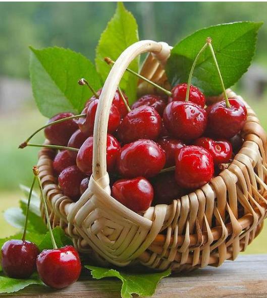 車厘子炸開了還能吃嗎?車厘子看著很新鮮卻為什么苦