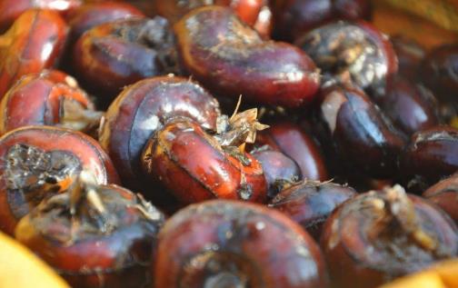 荸薺煮熟了再去皮可以嗎?煮過的荸薺熱量低還是沒煮的熱量低