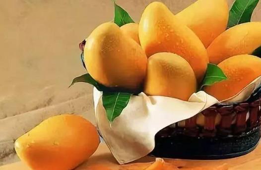 芒果吃多了會變胖嗎?什么時候吃芒果最好?