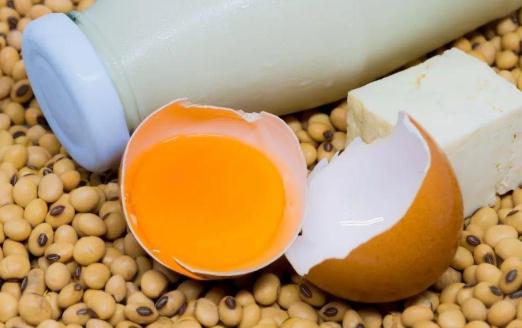 喝牛奶好還是豆?jié){好?牛奶和豆?jié){的營養(yǎng)分別是什么?