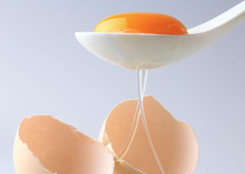 無菌雞蛋是怎么產生的?自己能做出無菌蛋嗎?