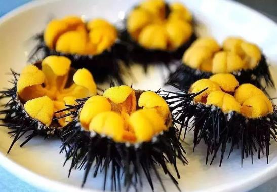 海膽生吃是什么味道的?海膽怎么吃比較好?