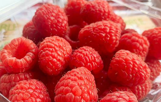 女生為什么不能吃樹莓 紅樹莓哪些人不能吃