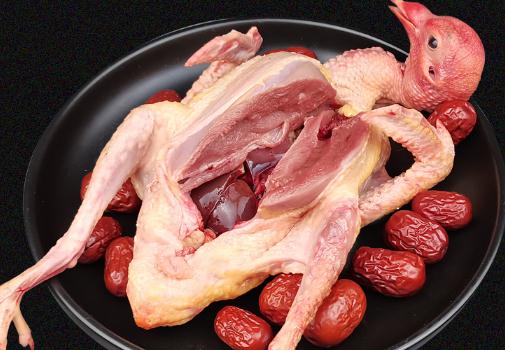 鴿子湯小孩子可以喝嗎 鴿子湯小孩喝了會早熟嗎