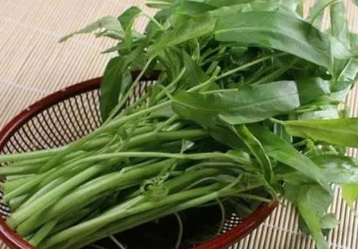 痛風(fēng)患者可以吃空心菜嗎?坐月子可以吃空心菜嗎?