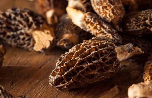 吃羊肚菌過敏的癥狀是什么?羊肚菌可以和蟲草花一起煲湯嗎?