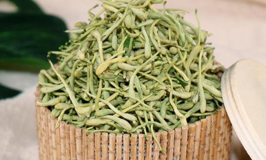 金銀花發霉是什么樣子 自己摘的金銀花怎么處理