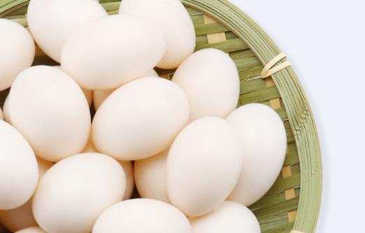 鴿子蛋水煮要煮多久 鴿子蛋一天可以吃幾個