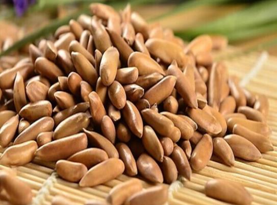 吃了松子嘴巴苦怎么辦?松子炒出來不脆是什么原因?