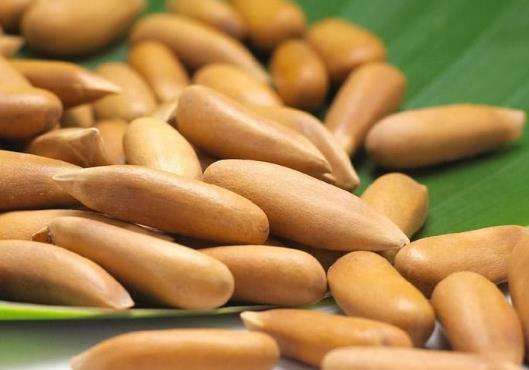 吃了松子嘴巴苦怎么辦?松子炒出來不脆是什么原因?