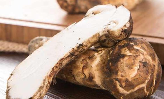 哪些人適合吃松茸?松茸不宜和什么一起吃?