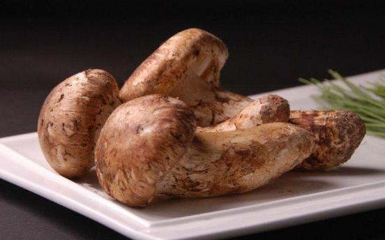 哪些人適合吃松茸?松茸不宜和什么一起吃?