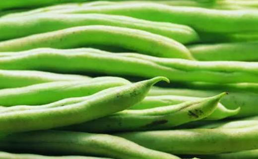 為什么會說吃豆角會中毒?吃豆角需要注意什么?