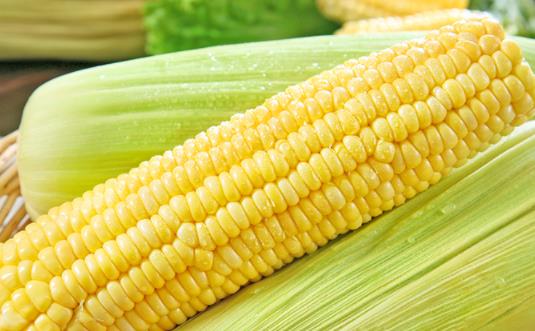 糯玉米減肥期間可以吃嗎 水果玉米和糯玉米的區別