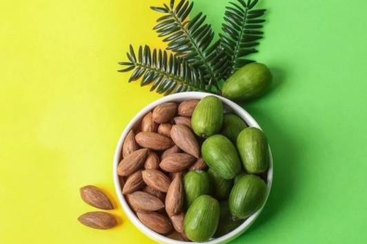 孕婦可以吃香榧嗎?吃香榧會引起流產嗎?