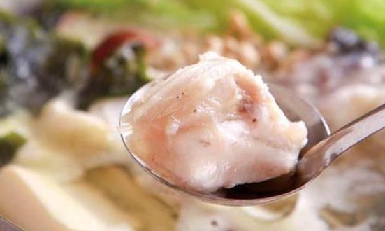 糖尿病患者可以吃河豚嗎?河豚不能和什么一起吃?